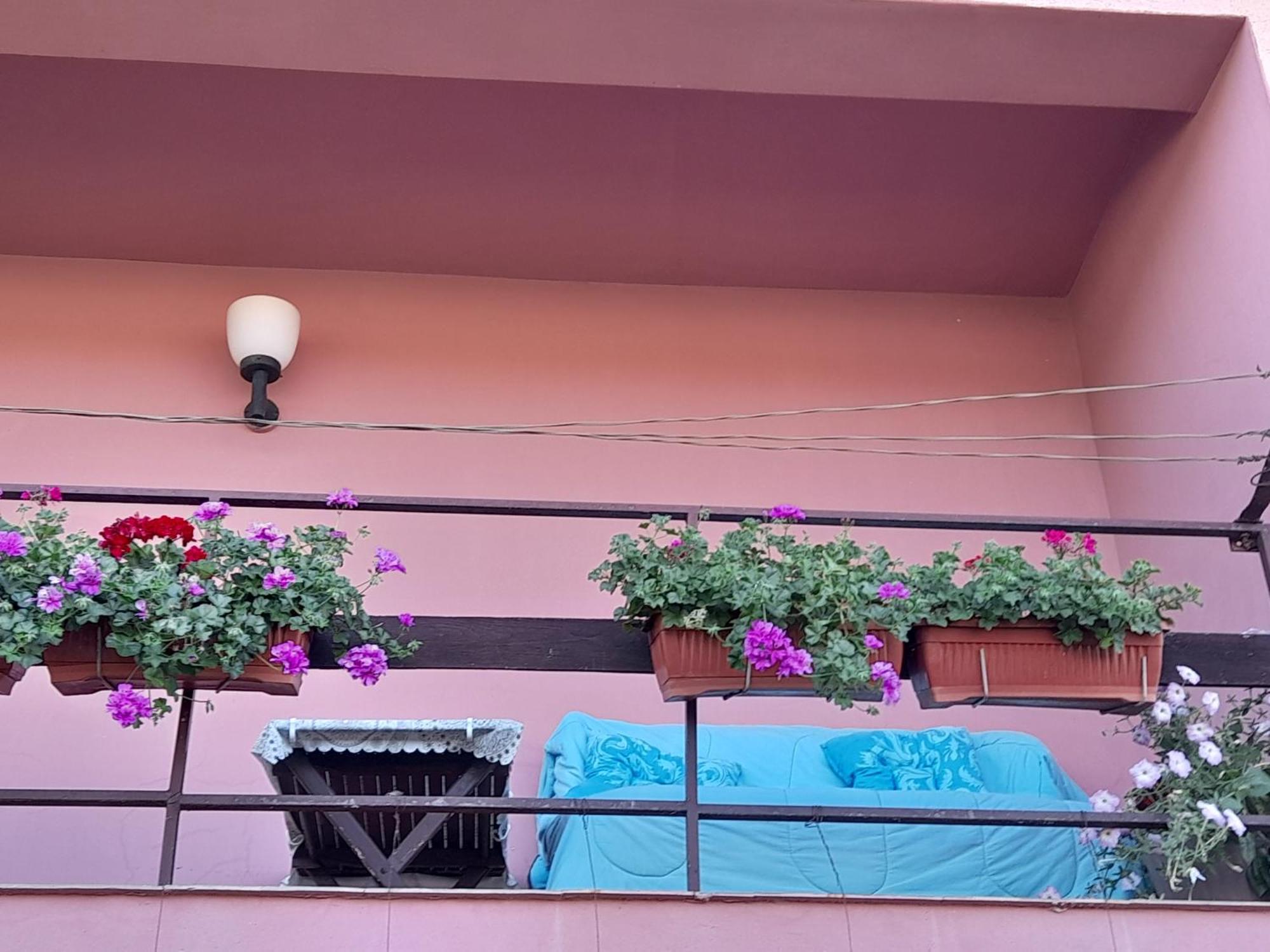 Soba Lavanda كلادوفو المظهر الخارجي الصورة