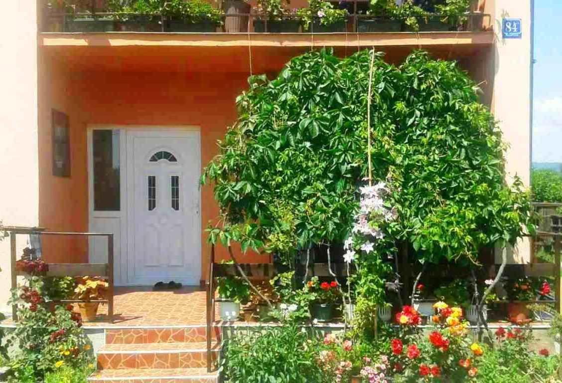 Soba Lavanda كلادوفو المظهر الخارجي الصورة